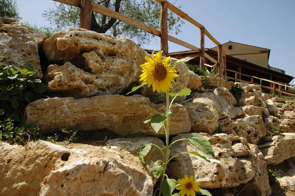 בית הארחה אורטה 	Agriturismo Campo Antico מראה חיצוני תמונה