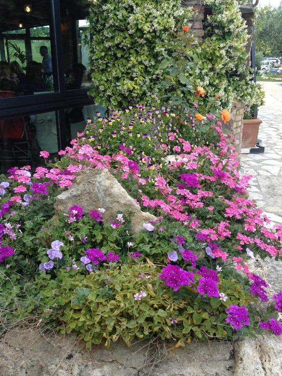 בית הארחה אורטה 	Agriturismo Campo Antico מראה חיצוני תמונה
